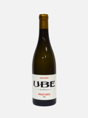 Ramiro Ibanez 2024 UBE Miraflores