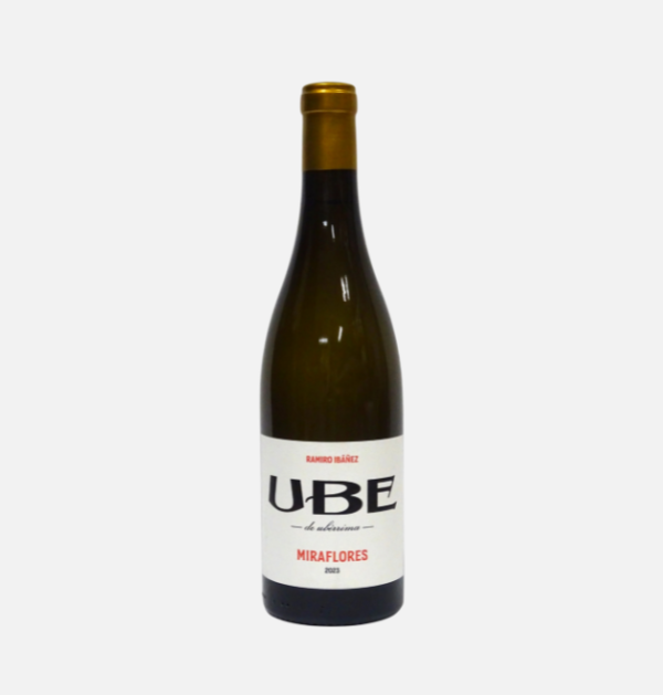 Ramiro Ibanez 2024 UBE Miraflores