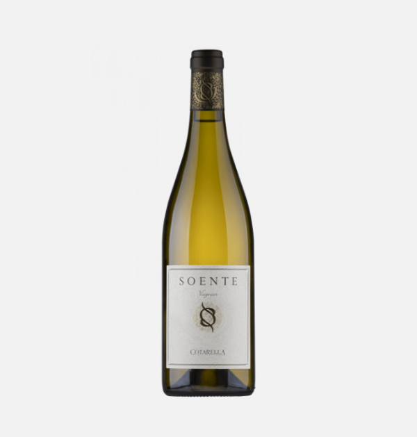 Soente Cotarella